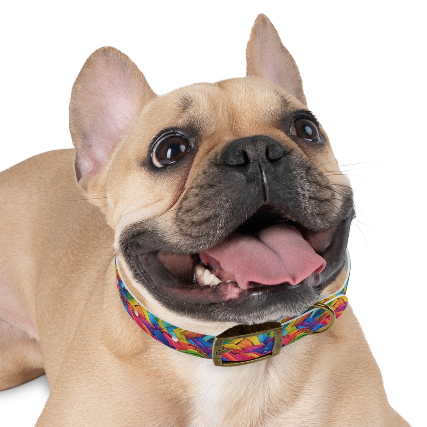 Rainbow Rover Ruffle Collar