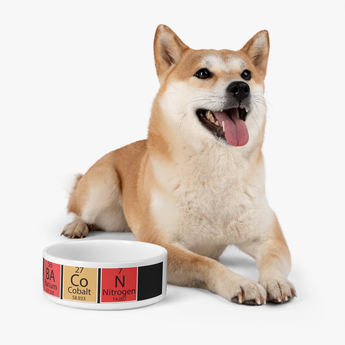 Pet Bowl